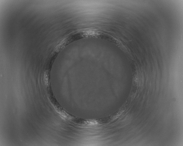 X0000060790715200512011706