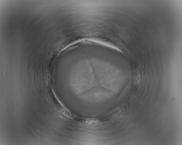 X0000060790716200512011706