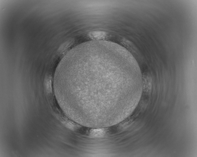 X0000060790717200512011706