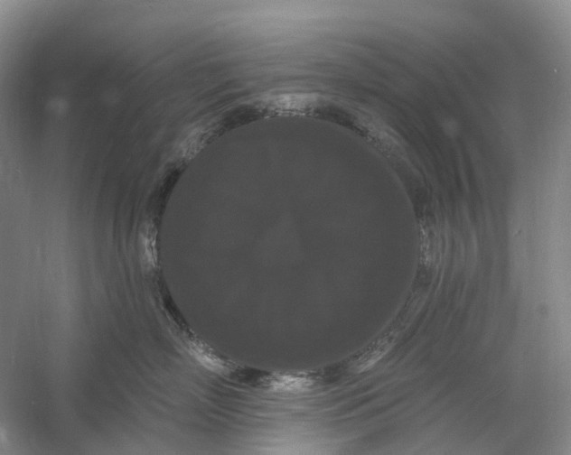 X0000060790718200512011706