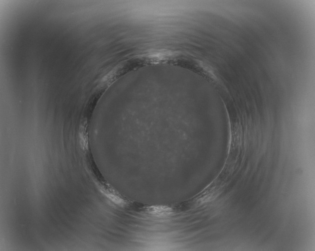 X0000060790719200512011706