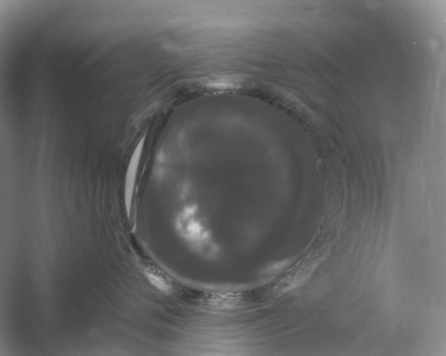 X0000060790720200512011706