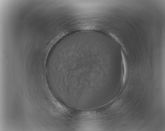 X0000060790721200512011705