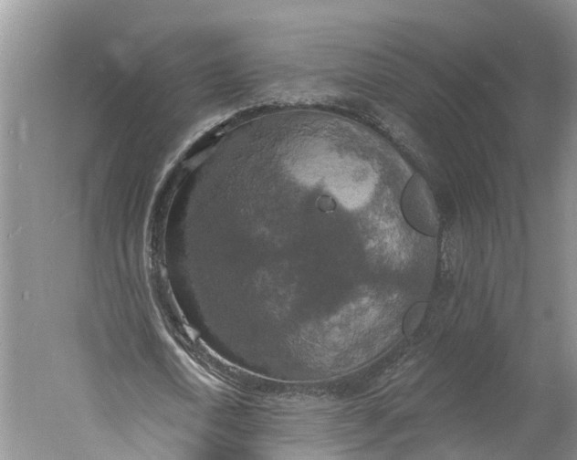 X0000060790722200512011705