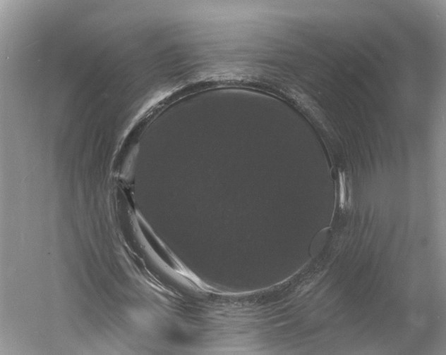 X0000060790723200512011705