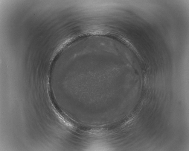 X0000060790725200512011705