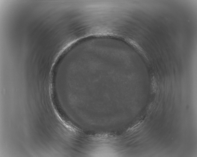 X0000060790728200512011705