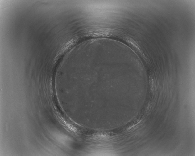 X0000060790729200512011705