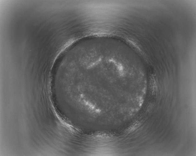 X0000060790730200512011705