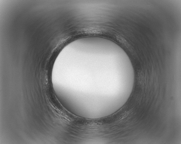 X0000060790731200512011705