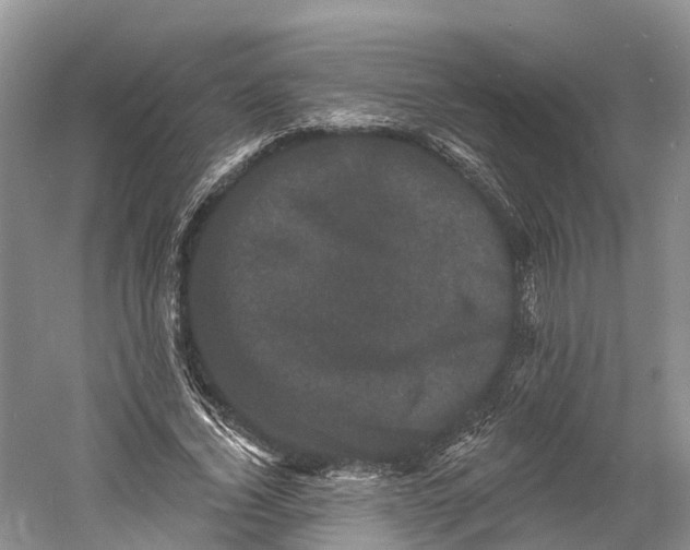 X0000060790732200512011705