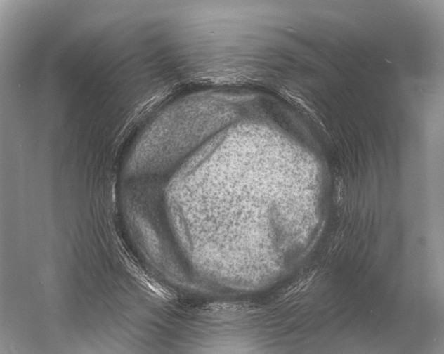 X0000060790733200512011705