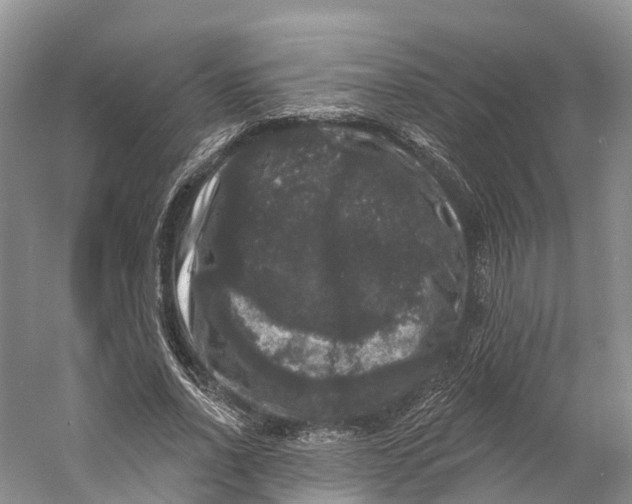 X0000060790734200512011705