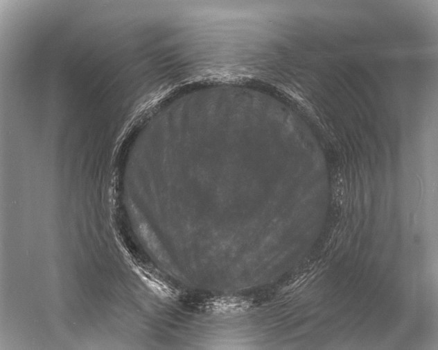 X0000060790736200512011705