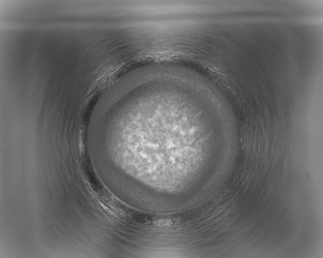 X0000060790740200512011705