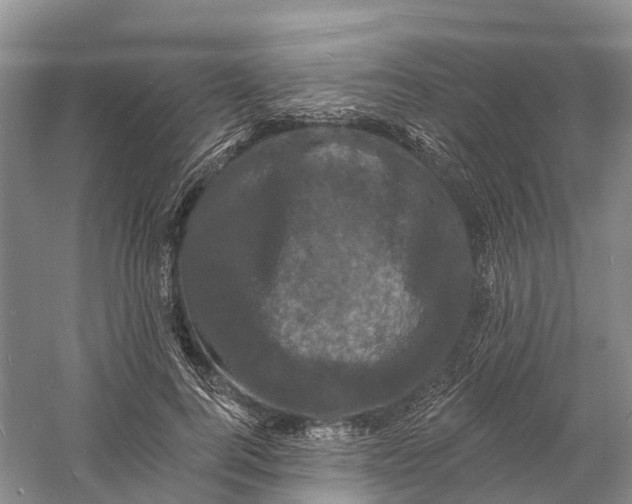 X0000060790744200512011705