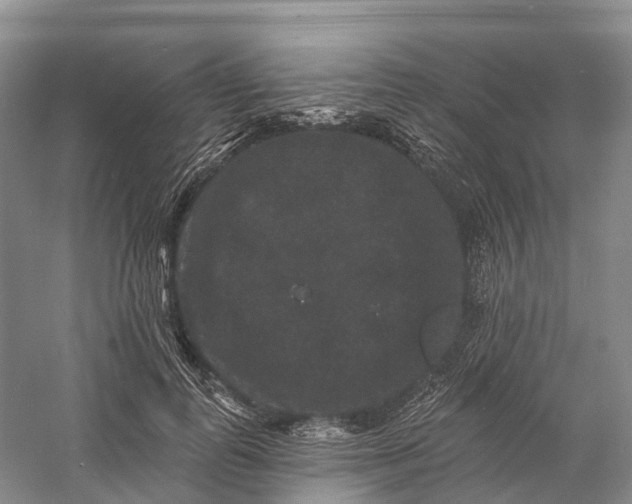 X0000060790747200512011705