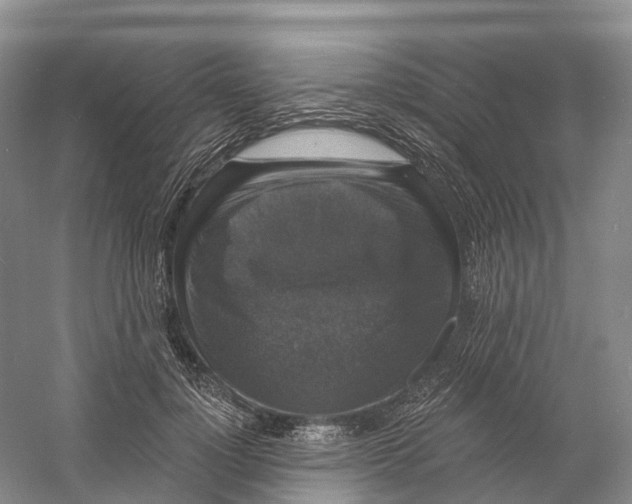 X0000060790748200512011705