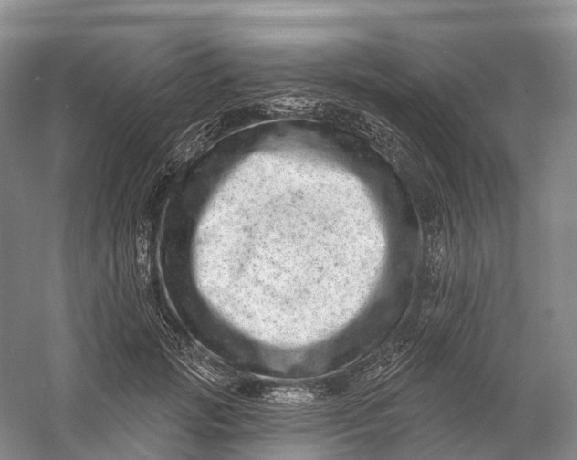 X0000060790749200512011705