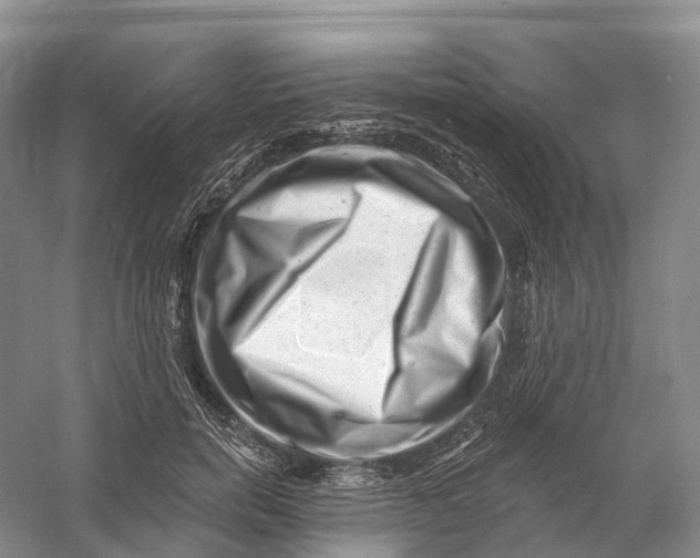 X0000060790750200512011705