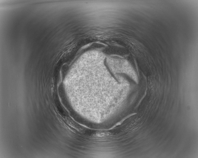 X0000060790752200512011705