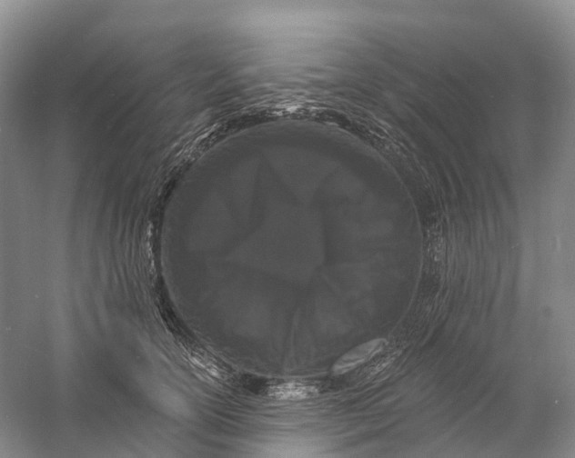 X0000060790754200512011705