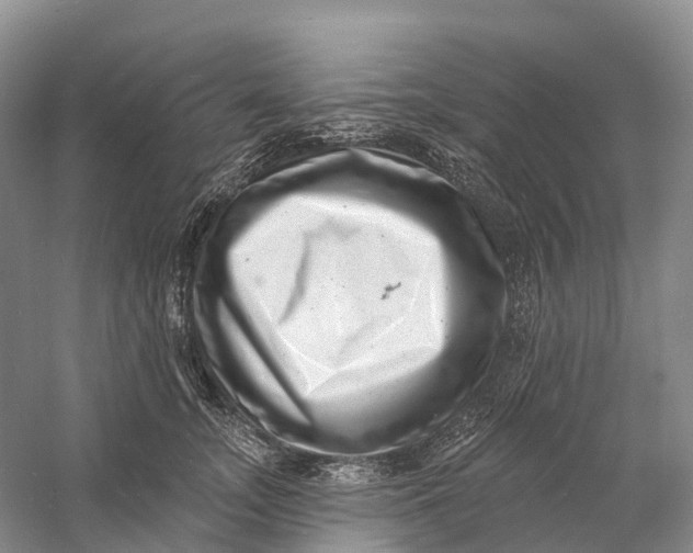 X0000060790755200512011705