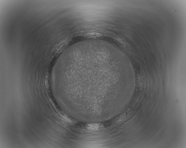 X0000060790757200512011705