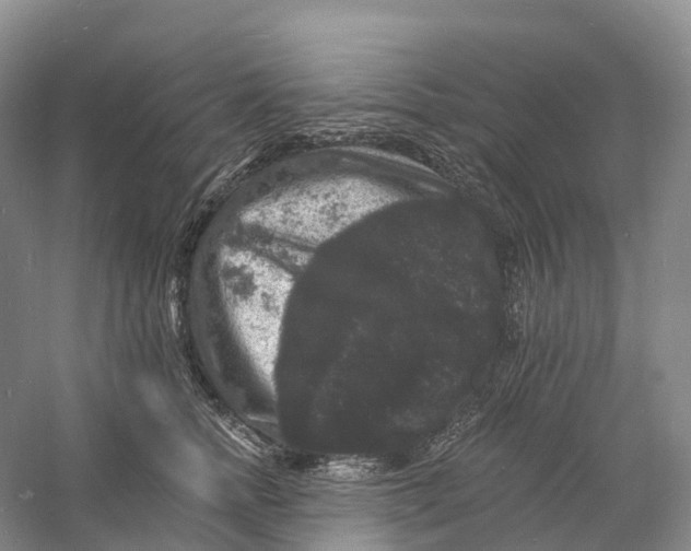 X0000060790758200512011705