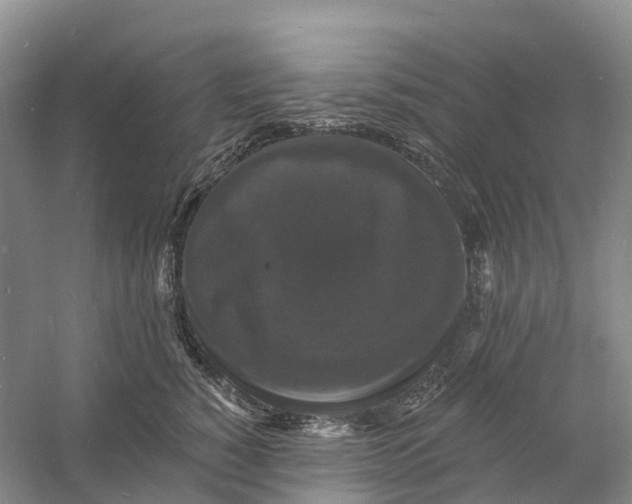 X0000060790760200512011705