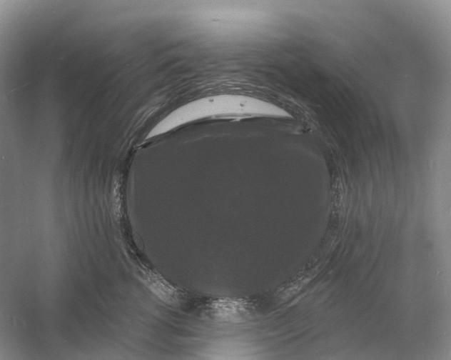 X0000060790762200512011706