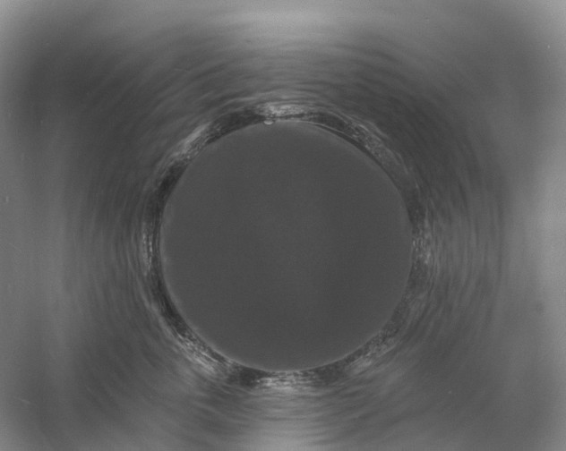 X0000060790763200512011706