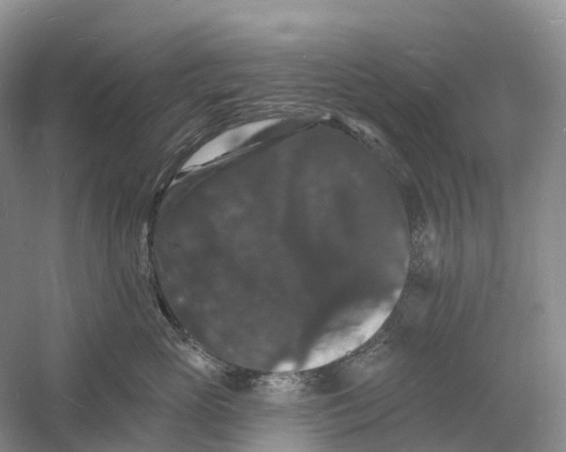 X0000060790765200512011706