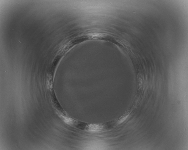 X0000060790766200512011706