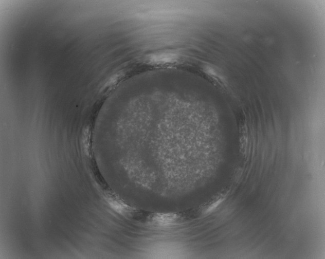 X0000060790767200512011706