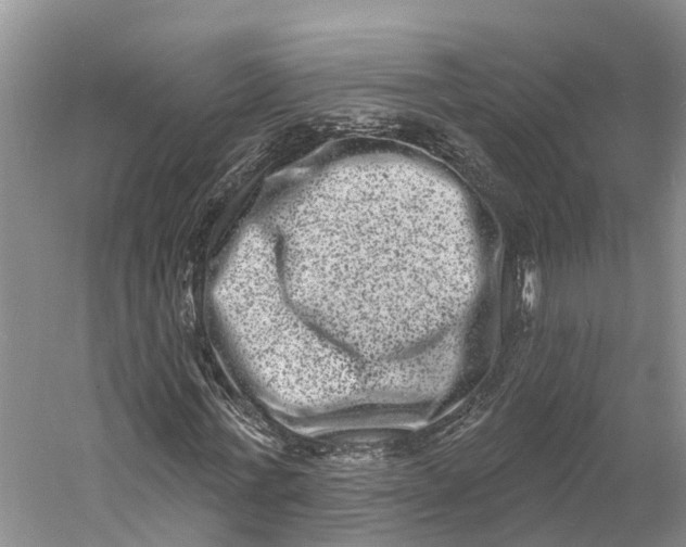 X0000060790771200512011705