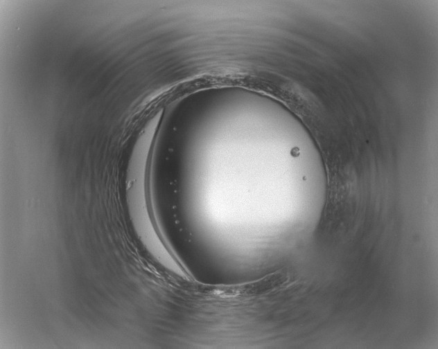 X0000060790773200512011705