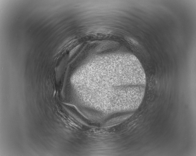 X0000060790774200512011705