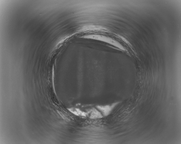 X0000060790775200512011705