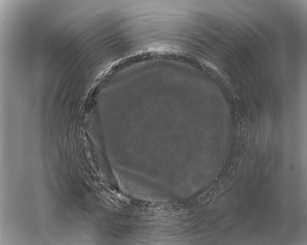 X0000060790776200512011705