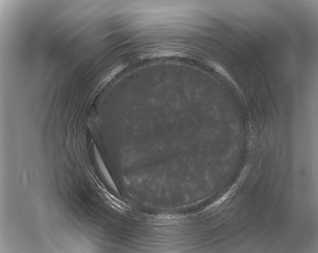 X0000060790777200512011705