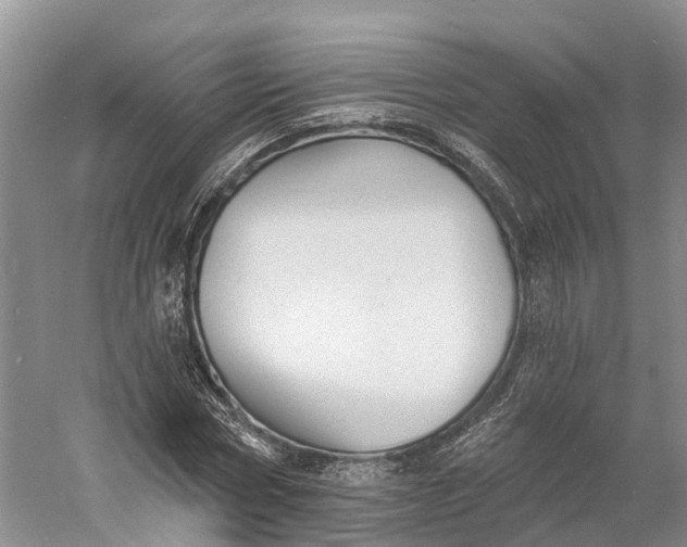 X0000060790778200512011705