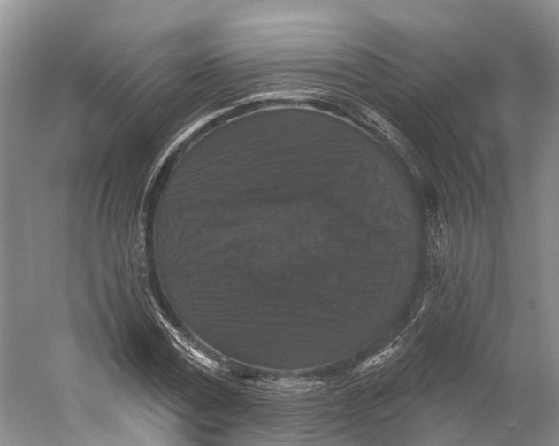 X0000060790779200512011705