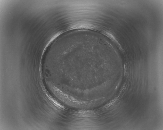 X0000060790780200512011705