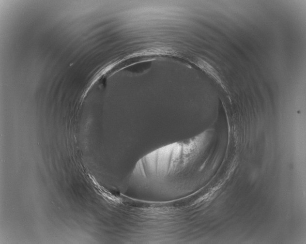 X0000060790781200512011705