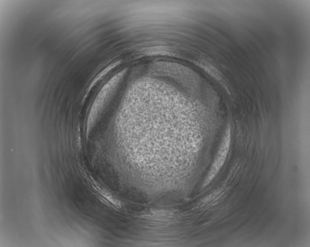 X0000060790782200512011705