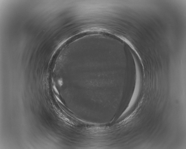 X0000060790783200512011705