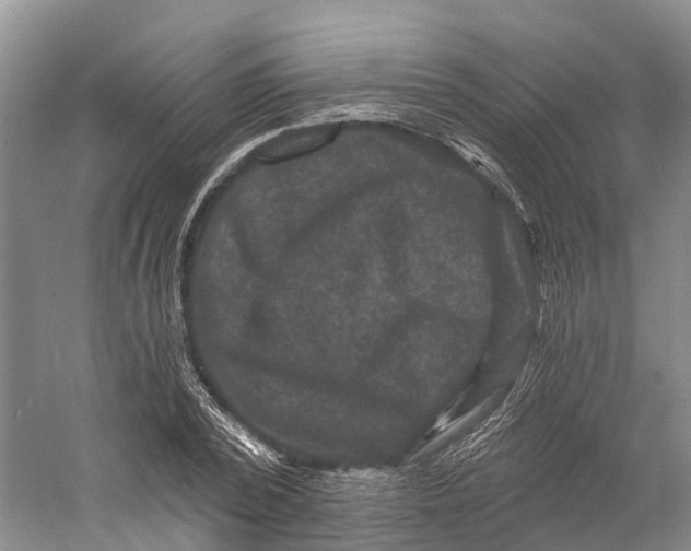 X0000060790784200512011705