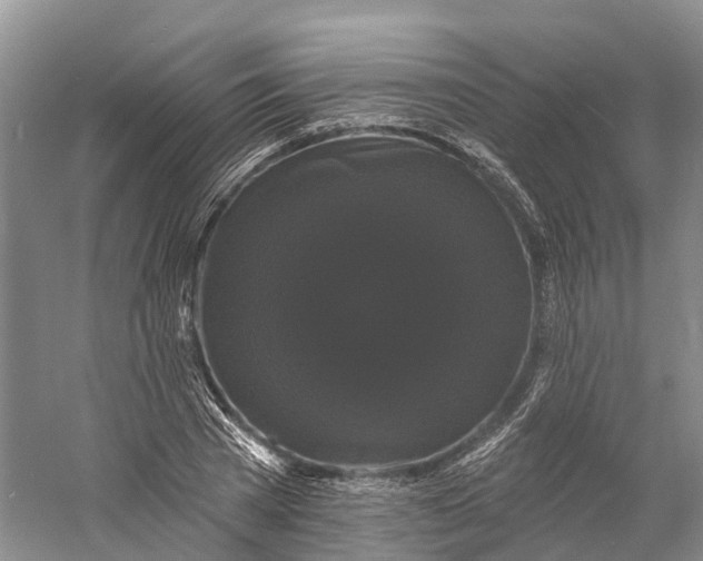 X0000060790785200512011704