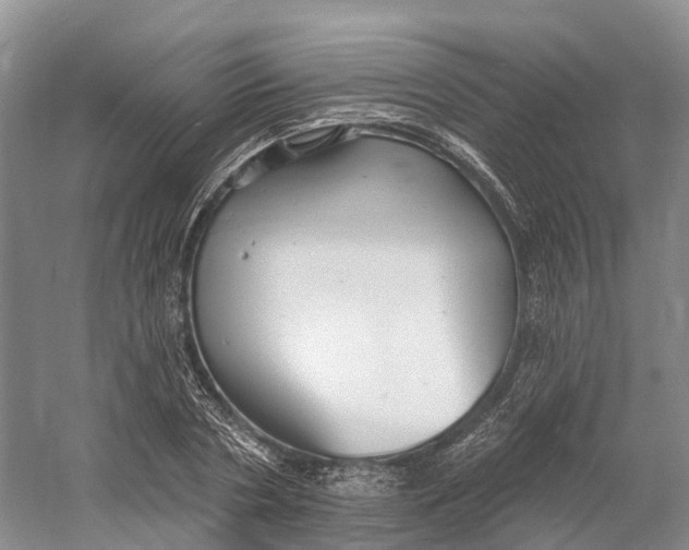 X0000060790786200512011704